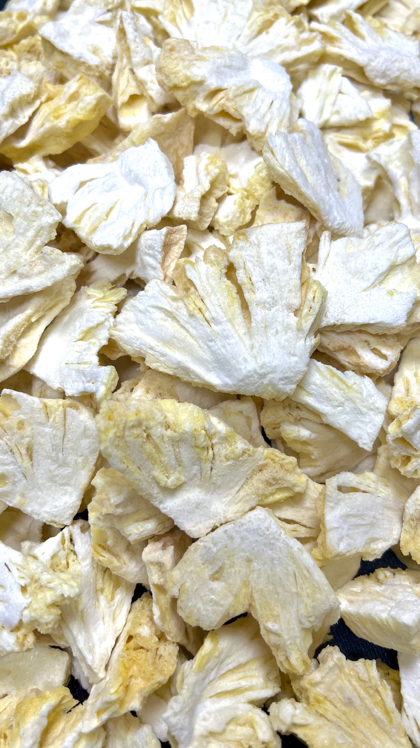 Freeze Dried Pineapple