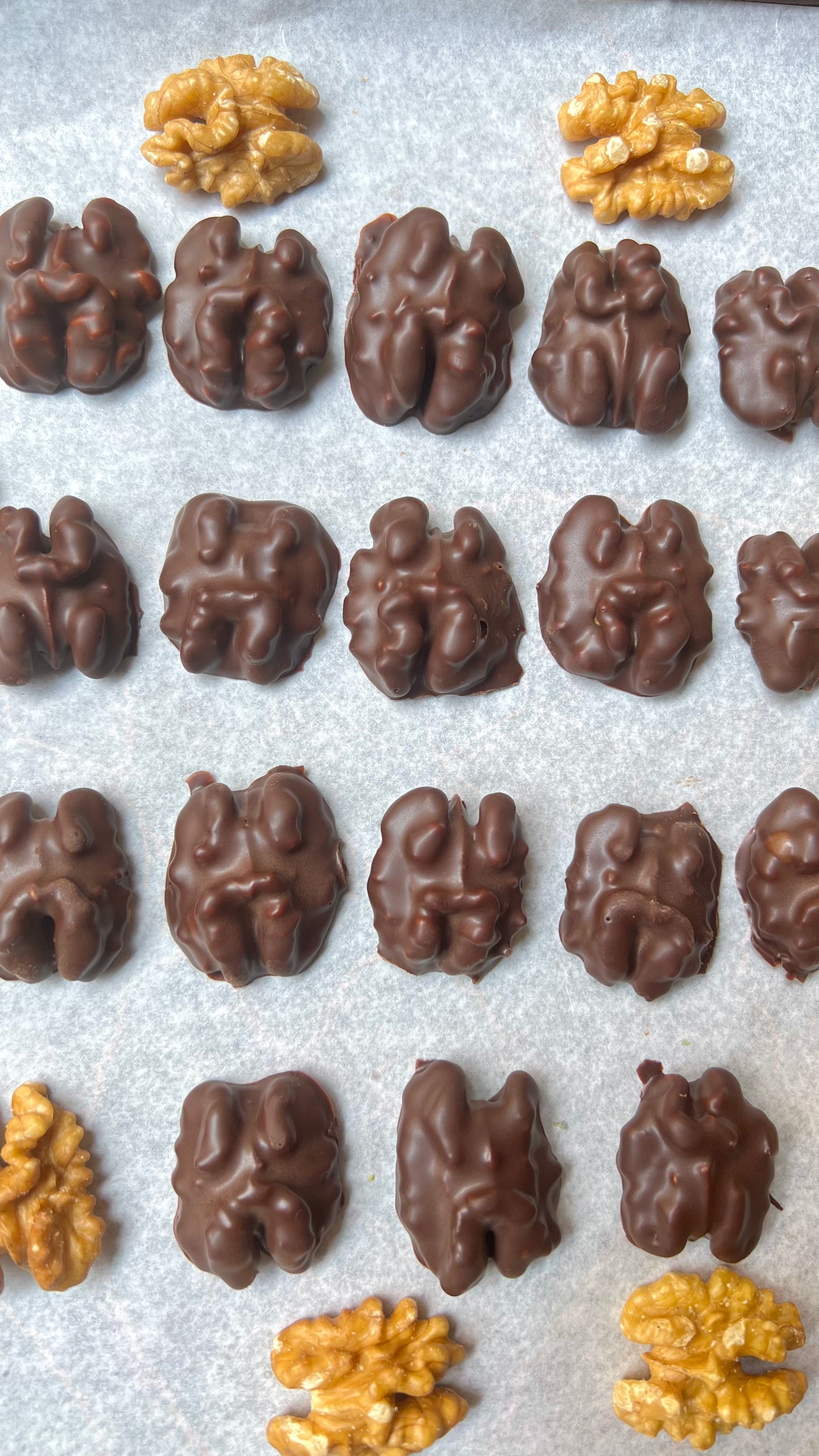 Chocolate Covered Walnuts